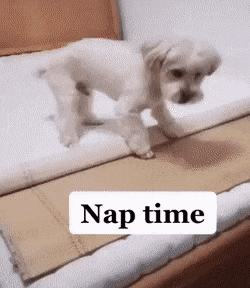 gifs_25.gif
