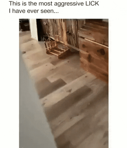gifs_25.gif