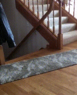 gifs_25.gif