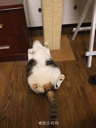 gifs_25.gif