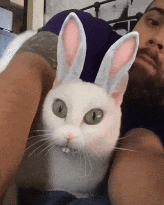 gifs_25.gif