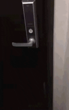 gifs_25.gif