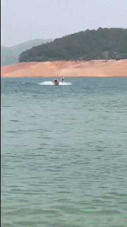 gifs_25.gif
