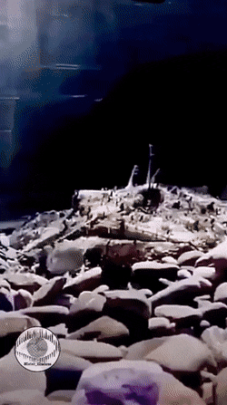 gifs_25.gif