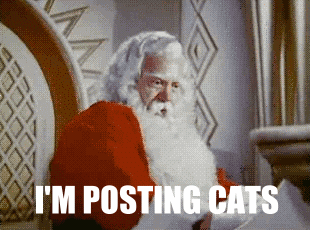 giphy (1).gif