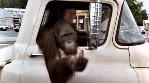 giphy-1.gif