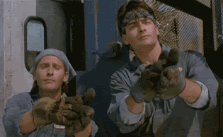 giphy-1.gif
