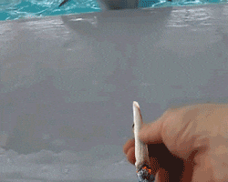 giphy (1).gif