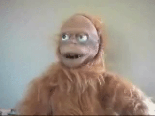 giphy-10.gif