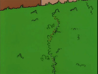 giphy (2).gif