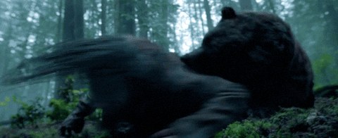 giphy (2).gif