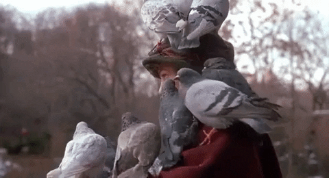 giphy (2).gif