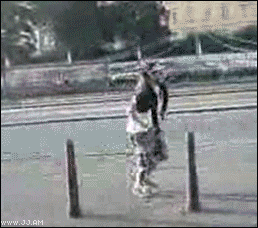 giphy-2019-05-07t130114.201.gif