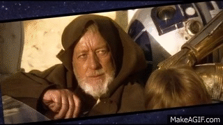giphy (21).gif