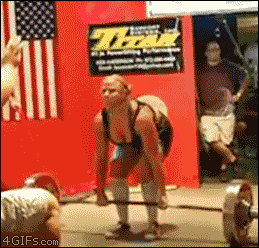 giphy (28).gif