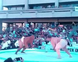 giphy (3).gif