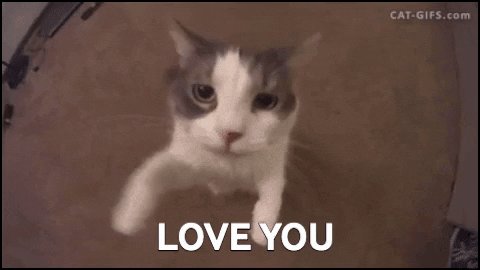 giphy (30) (1).gif