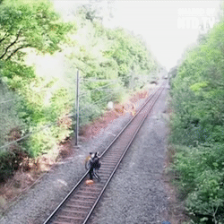 giphy (32).gif
