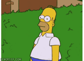 giphy-4.gif