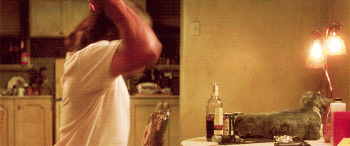 giphy (5).gif