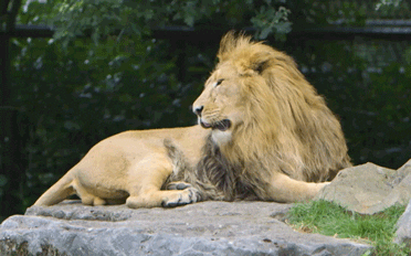 giphy (5).gif