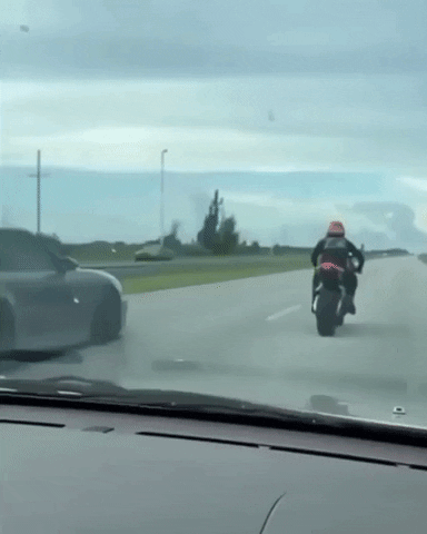 giphy (5).gif