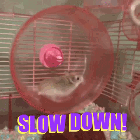 giphy (6).gif