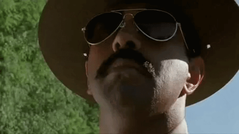 giphy (6).gif