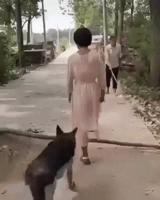 giphy (7).gif