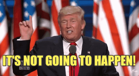 giphy (8).gif