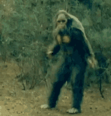 giphy-82.gif
