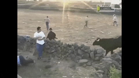 giphy-downsized-large-1962898115.gif