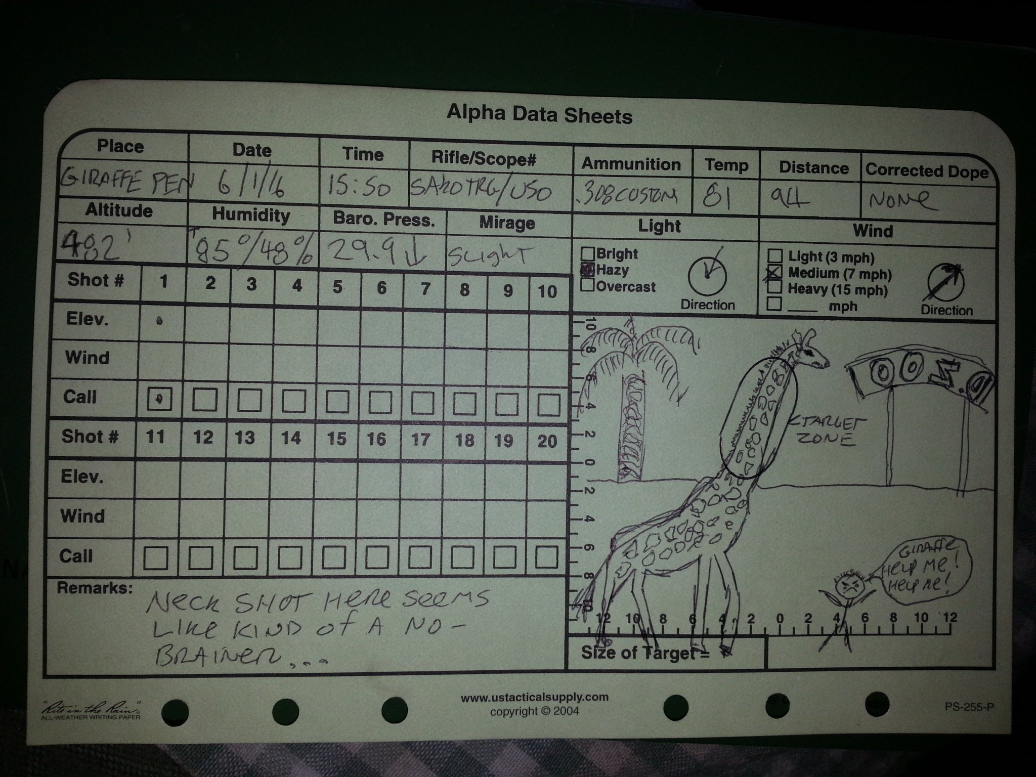 giraffe2.jpg