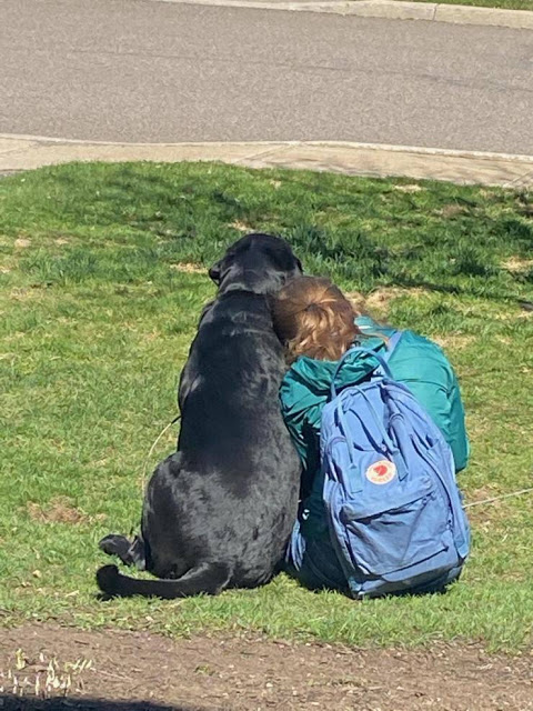girl dog.jpeg