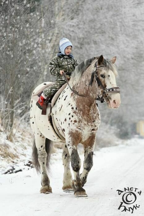 girl horse.jpeg