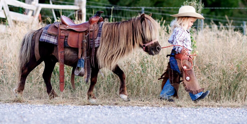 girl pony.jpeg