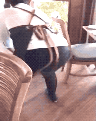 girls_with_skills_16.gif