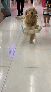 GNmw4YRXQ.GIF