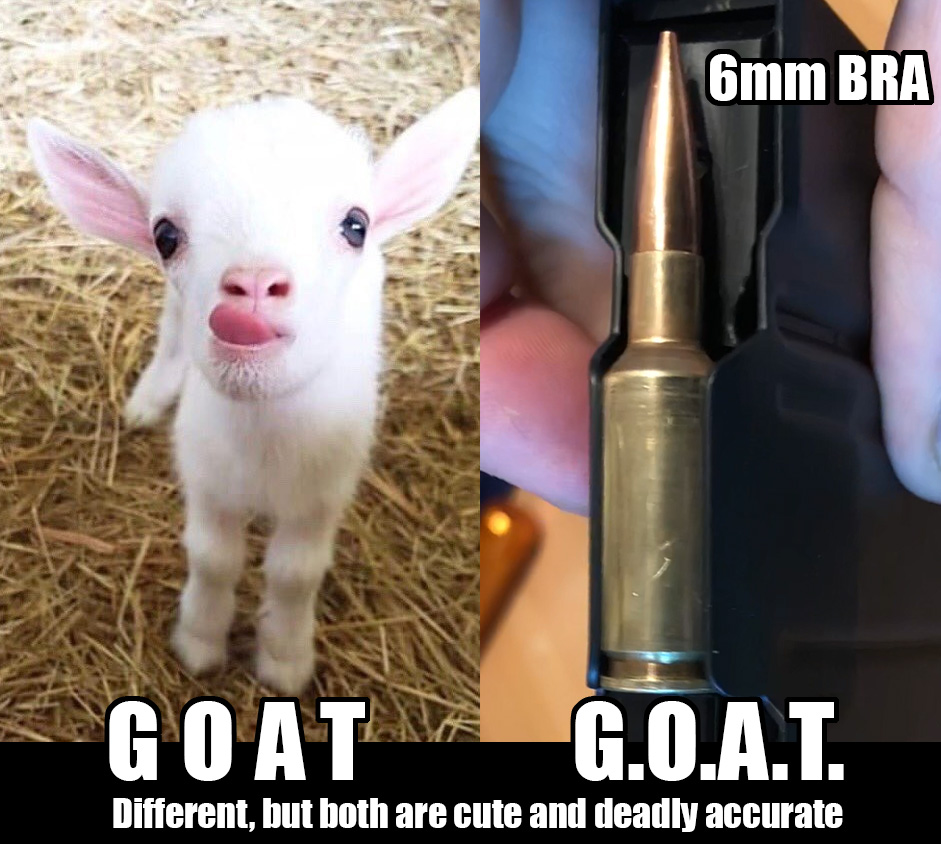 goat.jpg