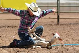 goatygoatgoat.jpg