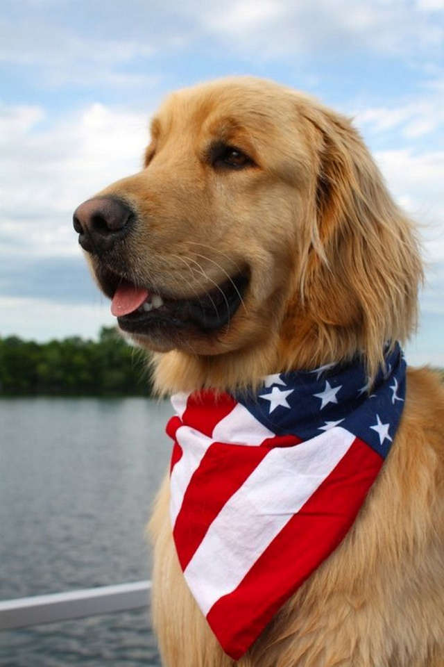 golden flag.jpeg