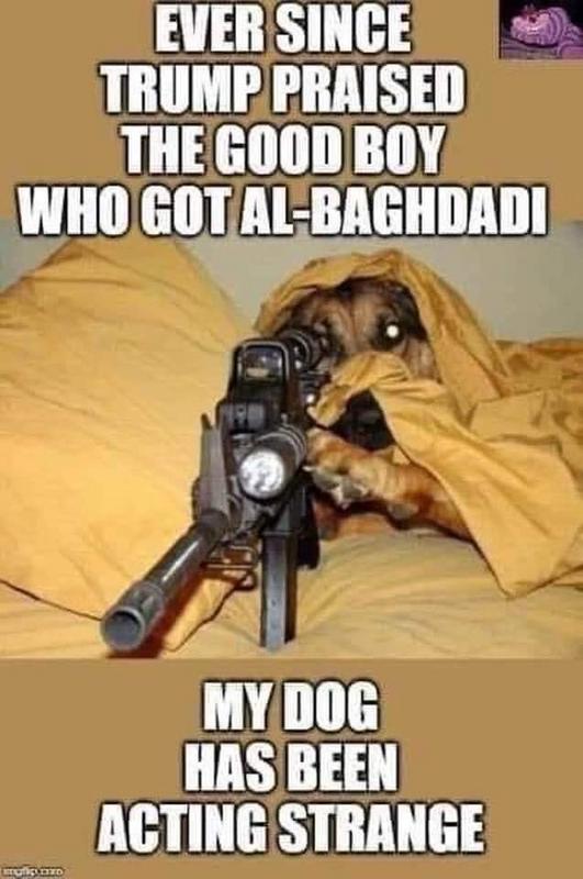 Goodboy.jpg