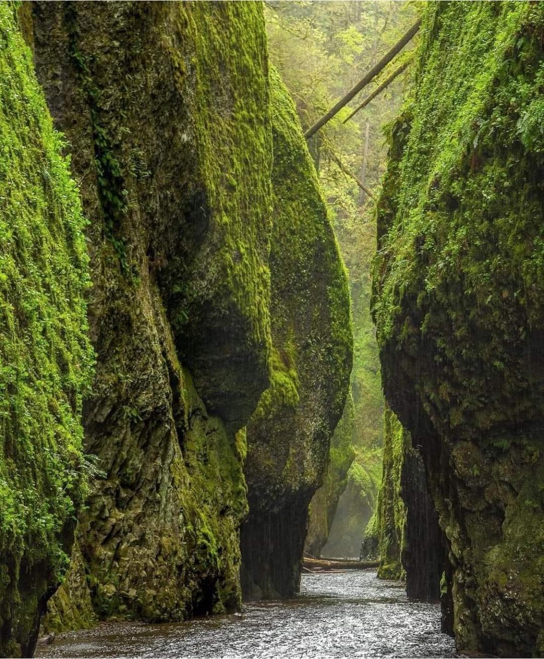 gorge.jpeg