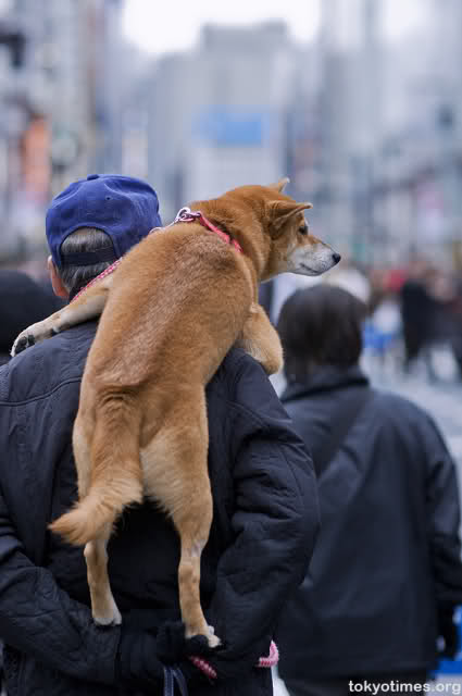 got your back.jpeg