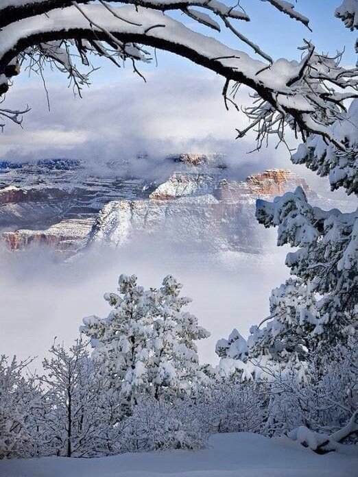 grand canyon.jpg