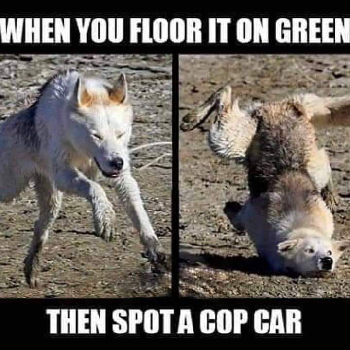 green.jpg