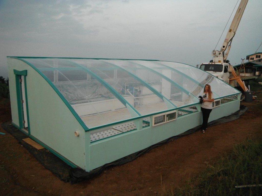greenhouse.jpg