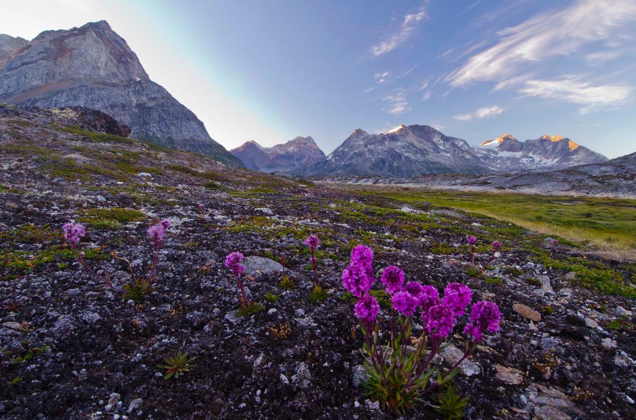 greenland-landscape_1280.jpeg