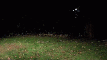 greeting.gif
