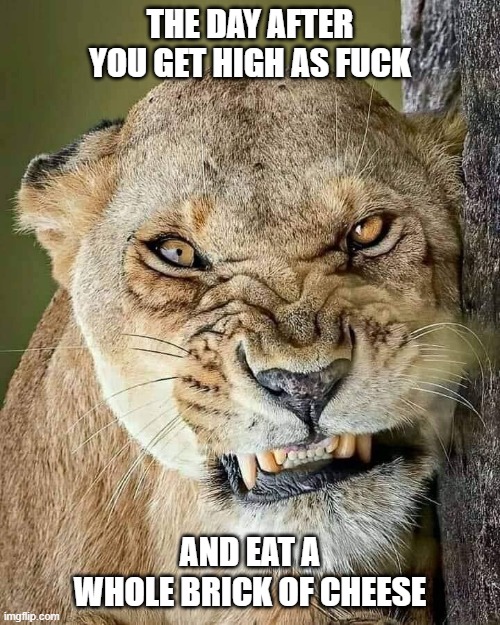grunt1.jpg